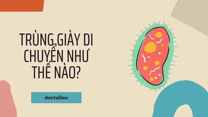 Vai Trò Kỳ Diệu Của Lông Bơi: Giải Mã Cách Trùng Giày Tạo Nên Chuyển Động Độc Nhất Vô Nhị