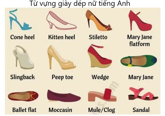 Cẩm Nang Từ Vựng Tiếng Anh Chủ Đề Giày Dép: Từ A-z Cho Người Đam Mê Thời Trang