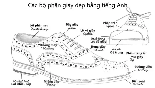 Cẩm Nang Từ Vựng Tiếng Anh Chủ Đề Giày Dép: Từ A-z Cho Người Đam Mê Thời Trang