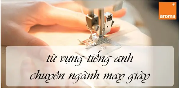 Cẩm Nang Tiếng Anh Chuyên Ngành Giày Da: Từ Vựng, Hội Thoại Và Bài Tập Thực Tế