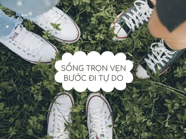 Câu Nói Hay Về Giày Thể Thao Converse – Tổng Hợp Những Trích Dẫn Ý Nghĩa