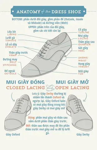 Cấu Tạo Giày Thể Thao: Từng Bộ Phận Và Bí Quyết Chọn Chất Lượng