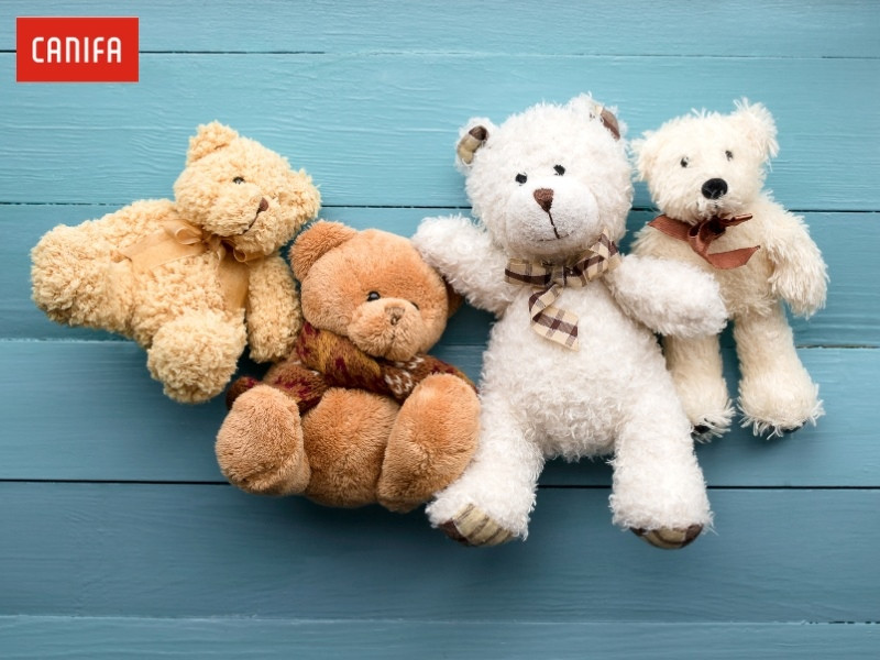 Chú gấu bông mềm mại đáng yêu làm bạn thân cho bé gái 10 tuổi