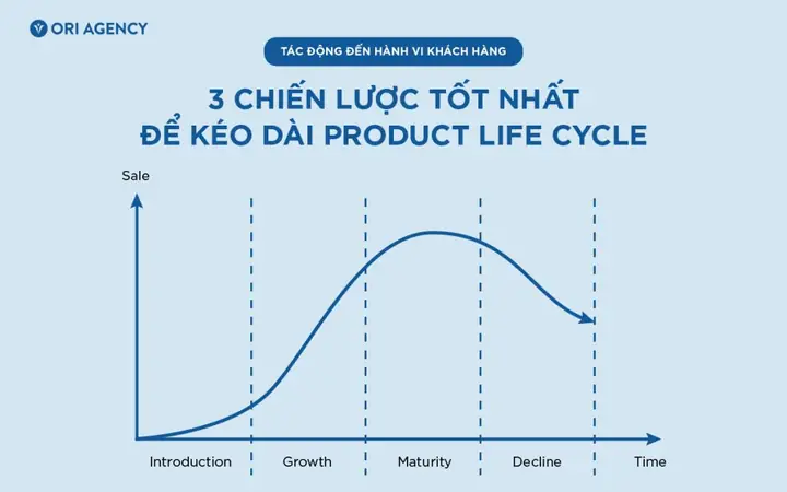 Chu Kỳ Sống Của Giày Converse Thường Là Bao Lâu?