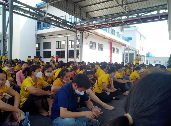 Đình Công Trong Ngành Giày Da: Nguyên Nhân, Quy Trình Và Giải Pháp