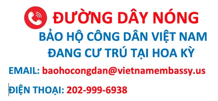 Top 10 Cửa Hàng Giày Việt Nam Xuất Khẩu Kim Uy Tín Nhất