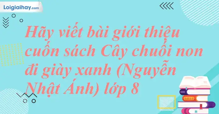 Dàn Ý Thuyết Minh Về Đôi Giày Bata Đầy Đủ Và Chi Tiết