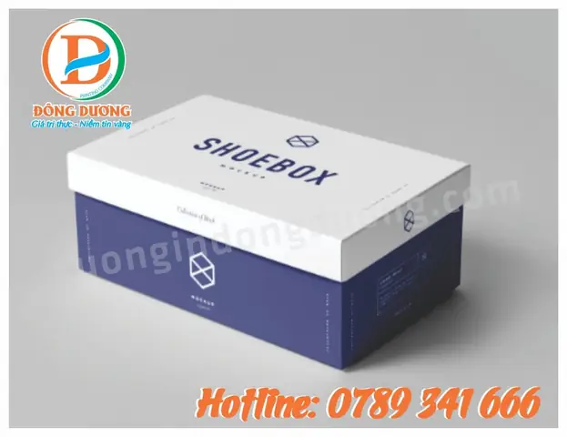 Top 5 Địa Chỉ In Hộp Đựng Giày Giá Rẻ Uy Tín Nhất 2026