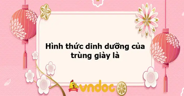 Trùng Giày Và Trùng Roi: Phân Tích Toàn Diện Giá Trị Dinh Dưỡng