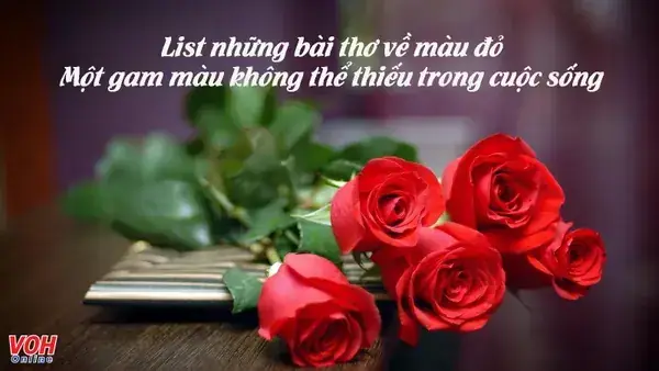 Em Không Phải Cô Gái Mang Giày Đỏ: Tìm Hiểu Nguồn Gốc, Ý Nghĩa Và Bối Cảnh Sử Dụng
