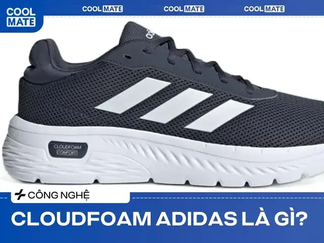 Giày Adidas Neo Cloudfoam Bên Nhật Bản: Top 4 Phiên Bản Đáng Mua Nhất 2026