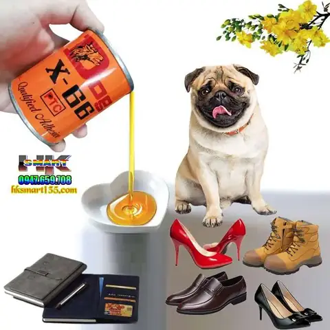 Top 5 Địa Điểm Mua Keo Con Chó Dán Giày Uy Tín Và Chất Lượng