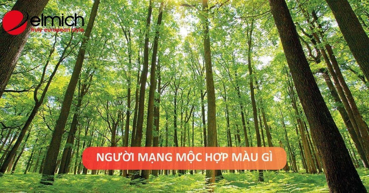 Các màu tương sinh và bản mệnh hợp với người mệnh Thạch Lựu Mộc