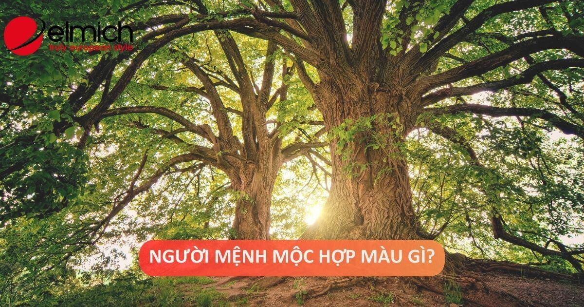Những màu tương khắc và màu kỵ mà người mệnh Thạch Lựu Mộc nên tránh