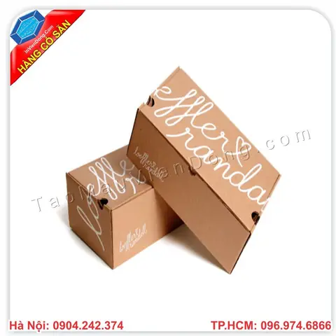 Top 5 Địa Chỉ Mua Hộp Carton Đựng Giày Uy Tín Tại Hà Nội