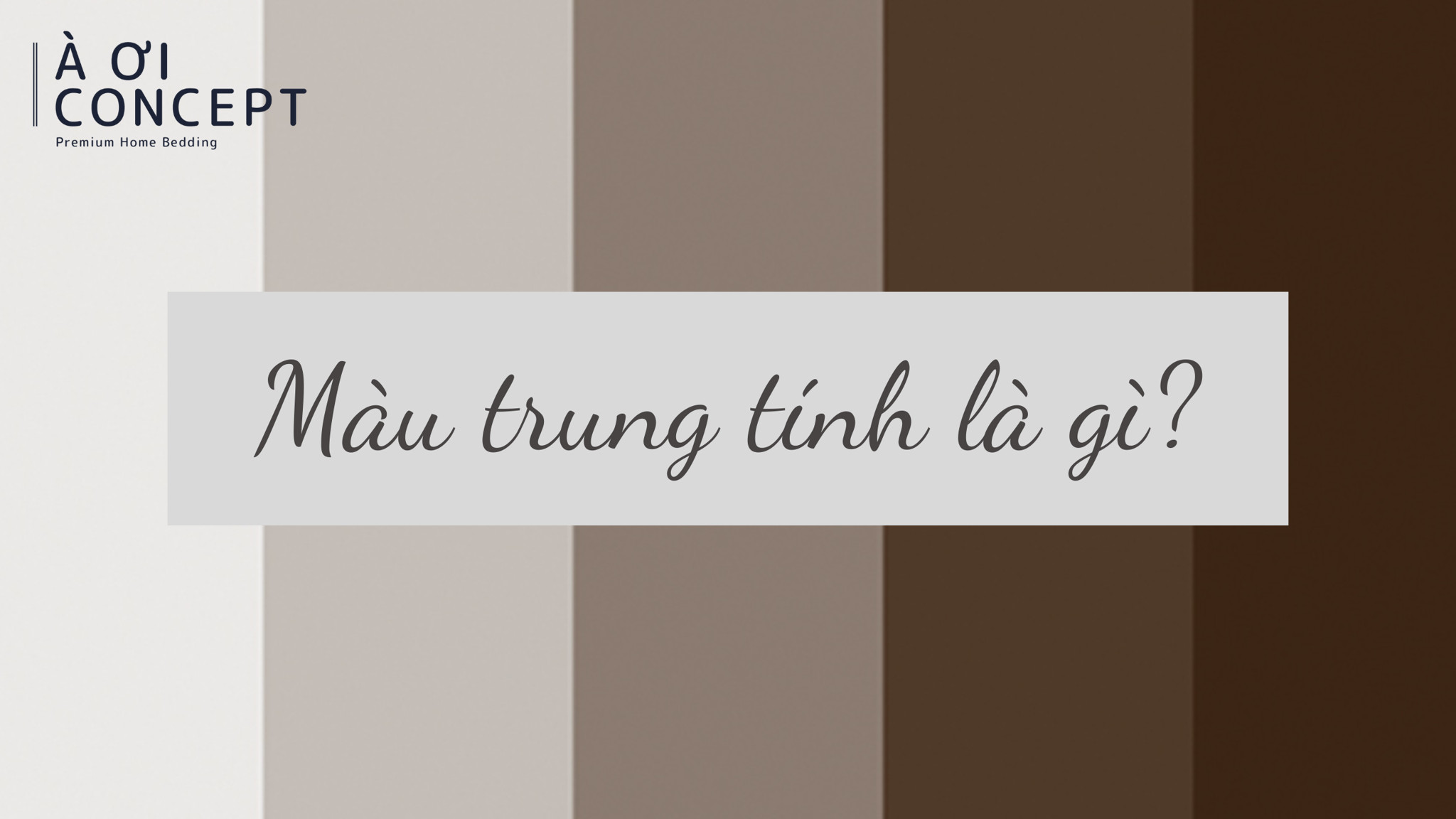 Phối màu cam với các gam màu trung tính tạo vẻ thanh lịch hiện đại