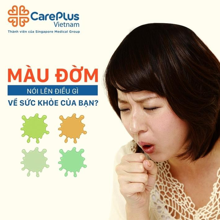 Các phối màu xanh tím than với xanh lá cây, xanh dương, tím tạo sự hài hòa