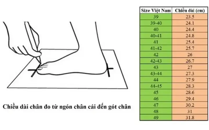 Size Giày 42.5 Là Bao Nhiêu Cm? Bảng Quy Đổi Chi Tiết Và Hướng Dẫn Chọn Size