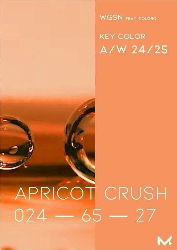 Màu apricot ứng dụng trong nội thất hiện đại và phụ kiện trang trí tinh tế