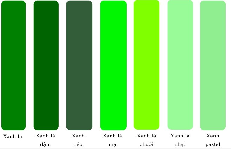 Không gian thiên nhiên với sắc xanh lá cây tươi mát giữa rừng nhiệt đới