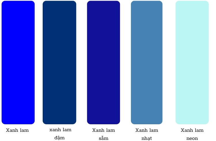 Sắc xanh lam nhẹ phản chiếu ánh sáng tự nhiên trong không gian mở