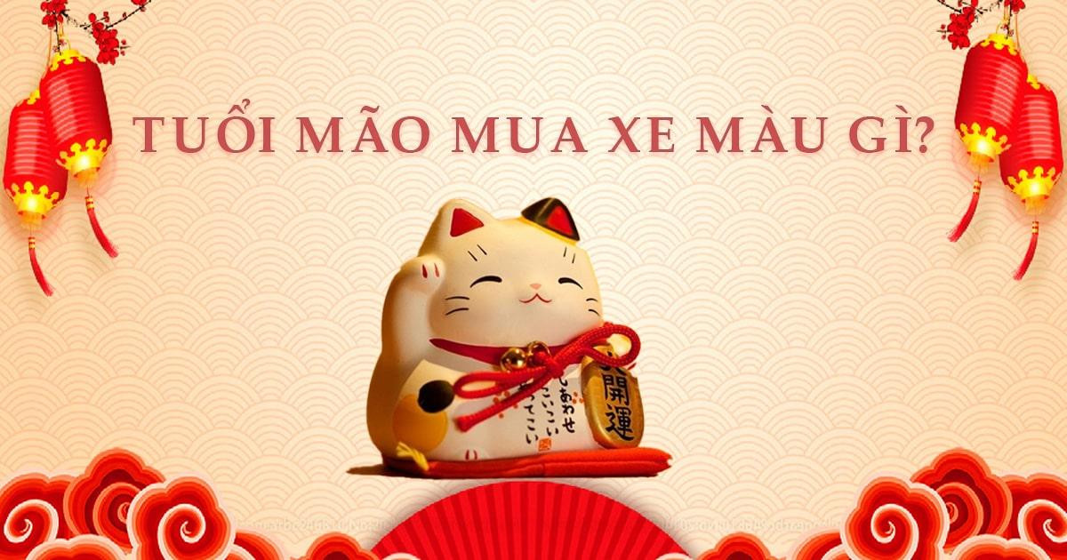 Xe ô tô màu đen nên tránh cho người tuổi Đinh Mão 1987 mệnh Hỏa