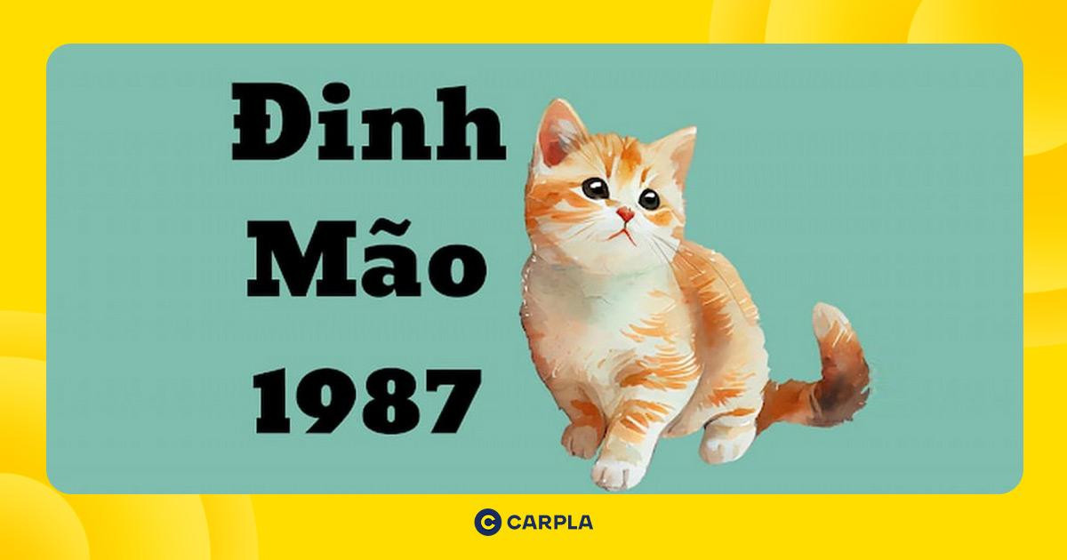 Xe ô tô màu xanh lá cây hợp phong thủy cho người tuổi Đinh Mão 1987 mệnh Hỏa